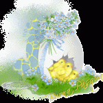BUONA PASQUA A TUTTI